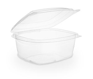 biodegradable small food containers with hinged lids
