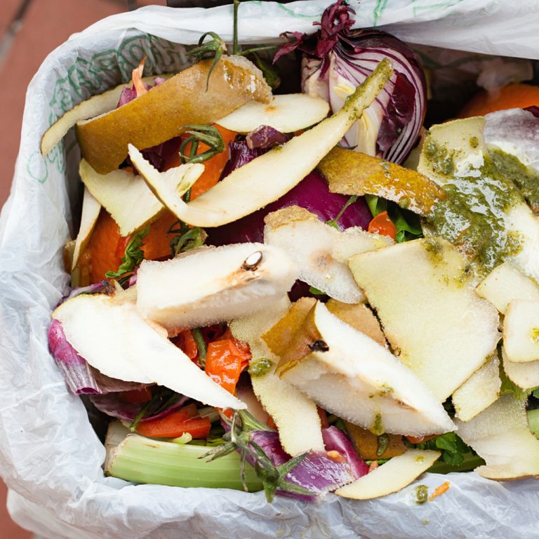 Our guide to home composting Single Use Alternatives